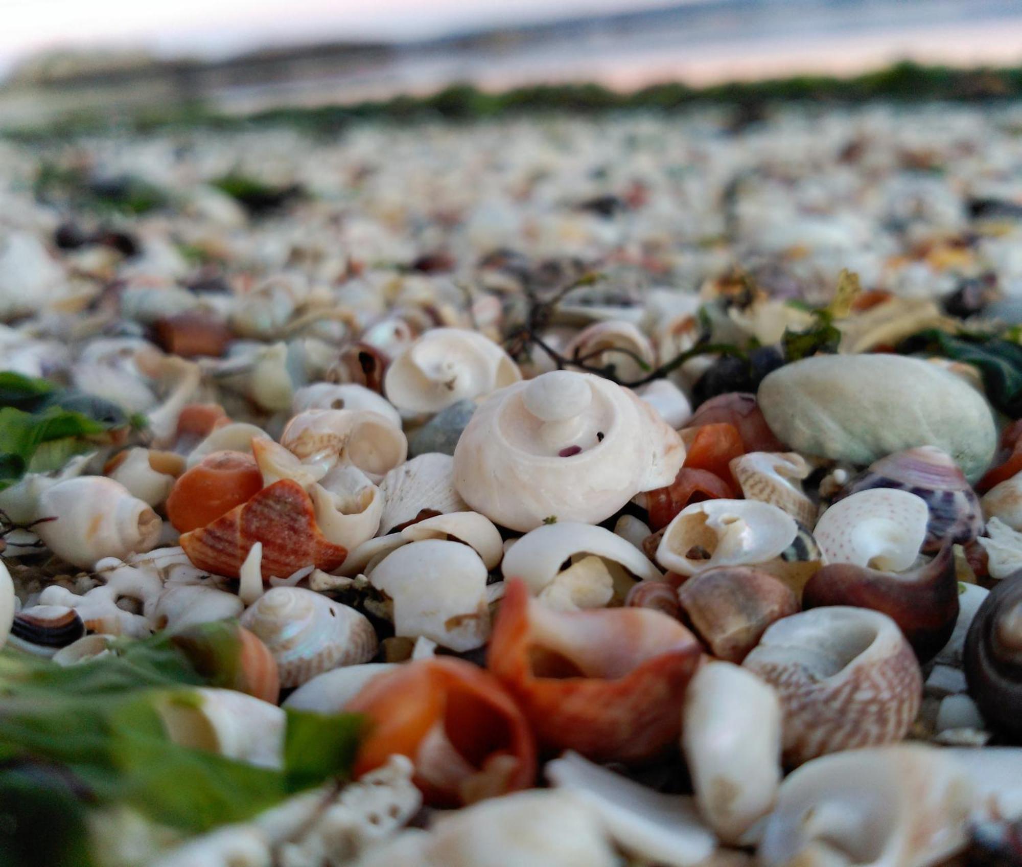Ravella Vilagarcia De Arousa Bagian luar foto